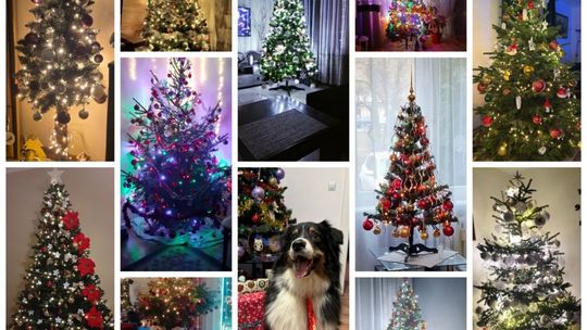 Choinki słuchaczy Radia Rekord