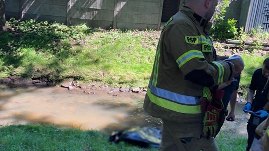 Ciało mężczyzny w rzece przy Odrzańskiej [aktualizacja]
