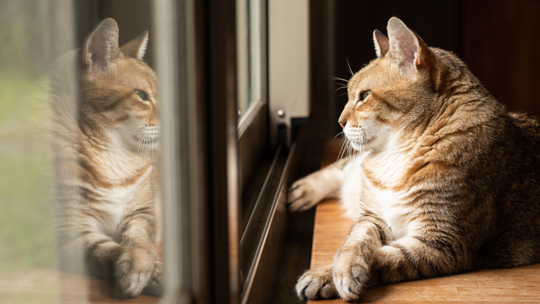 Ciepłe okna i szczelny  montaż? Co to w ogóle znaczy!