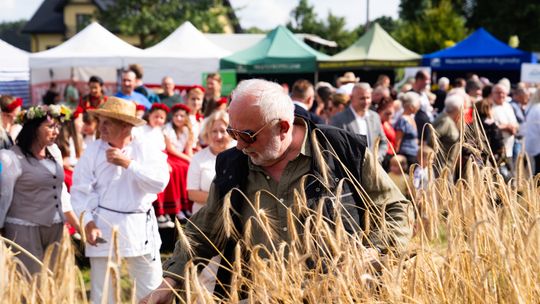 Ciężka praca i obfite plony. Inscenizacja Tradycyjnych Żniw w Gminie Jastrzębia