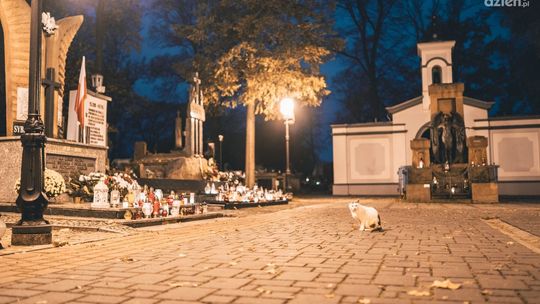 Cmentarz dłużej otwarty 