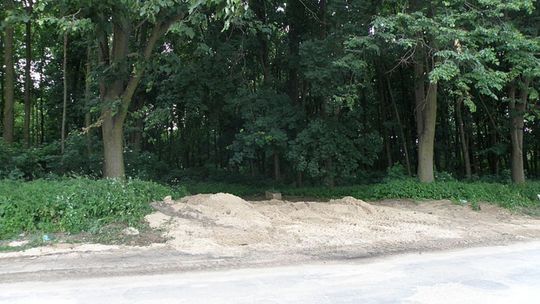 Cmentarz żydowski tonie w śmieciach