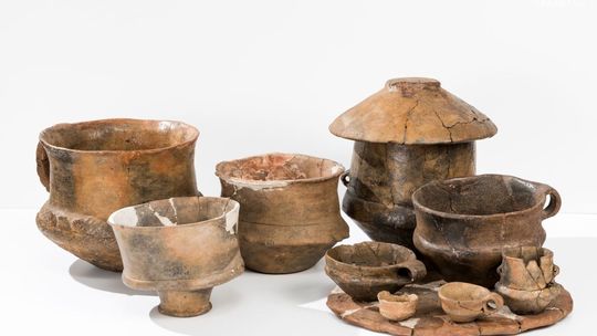 "Cmentarzysko kultury łużyckiej w Radomiu Wośnikach" 