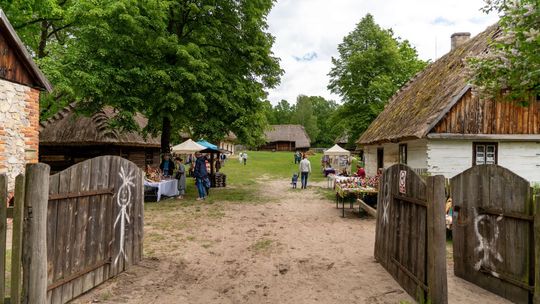 Co będzie się działo w weekend? 