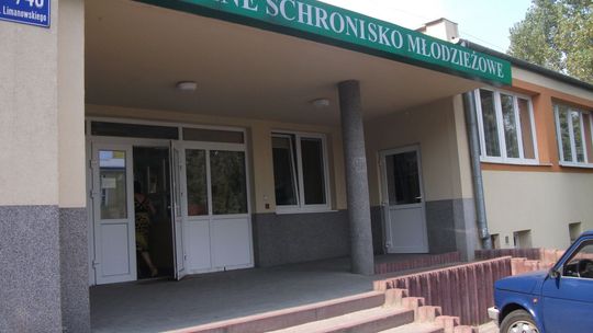 Co dalej z mieszkańcami schroniska?
