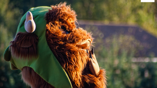 Co mają w piórniku Mordole?