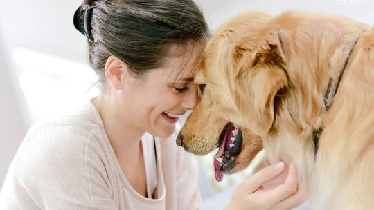 Co może, a czego nie powinien jeść pies?