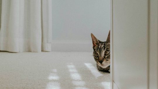 Co możemy zamaskować listwami maskującymi?