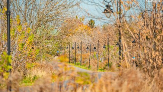 Co robić w weekend?
