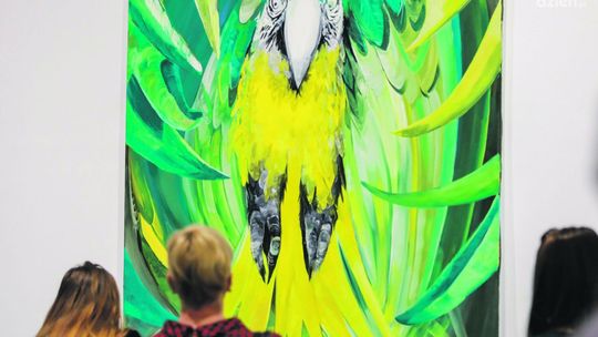 Co robić w weekend? 