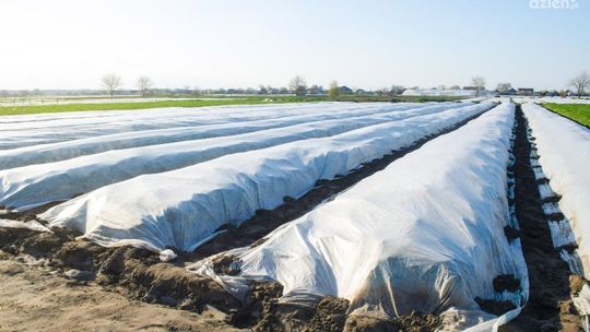 Co warto wiedzieć o agrowłókninie?