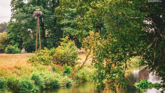 Co Za jazda! do Białobrzegów. Sprawdźcie trasę