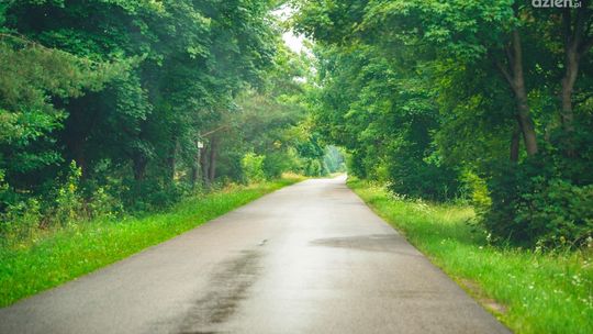 Co Za Jazda! do Szydłowca