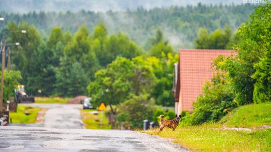 Co Za Jazda! do Szydłowca. Zobacz trasę [zdjęcia]