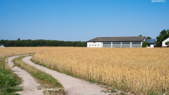 Co Za Jazda! Domaniów. Jak wygląda trasa?