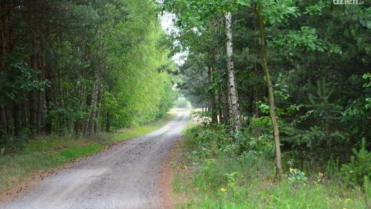 Co Za Jazda! - mapa trasy do Bieniędzic