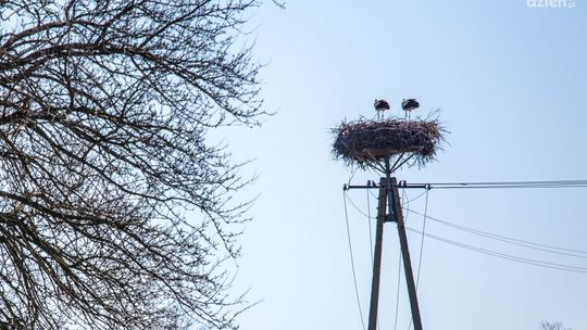 Co Za Jazda! Skaryszew - poznajcie trasę