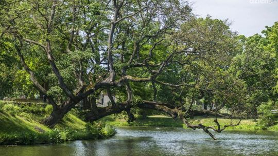 Co Za Jazda! Szydłowieckie piękno