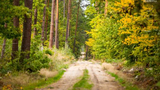 Co Za Jazda! Ultra. Rekordowo na 106,2 km