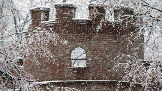 "Co za spacer". Zima w parku im. T. Kościuszki