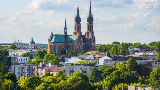 Co Za Widok: Radoskór