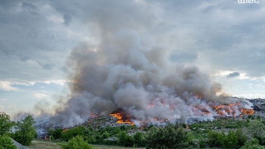 Czarna seria pożarów wysypisk. ABW wkracza