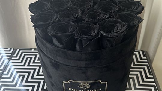 Czarne róże czyli tajemnicze piękno