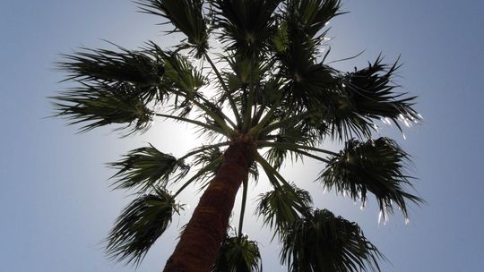 Czas zaplanować urlop - jakie  kierunki są modne?