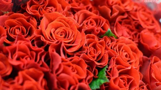 Czego życzymy kobietom?