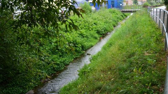 Czemu Mleczna śmierdzi?
