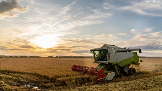 Części do kombajnów - jak wybrać niezawodne?