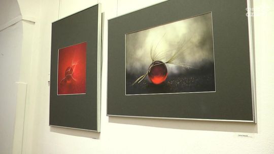 Człowiek, architektura i natura