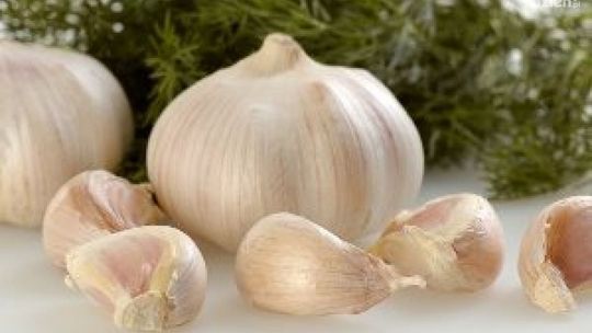 Czosnek na przeziębienie