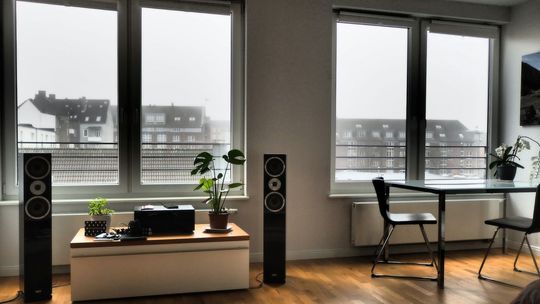 Czym charakteryzują się okna drewniane?