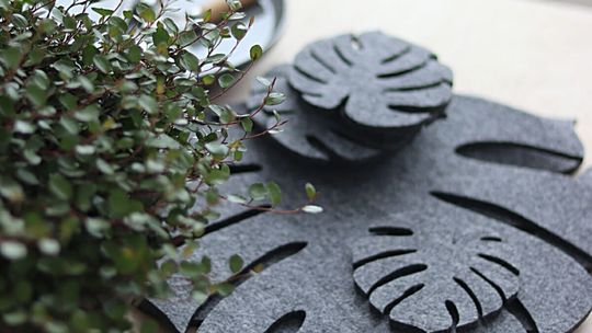 Czym są podkładki filcowe?