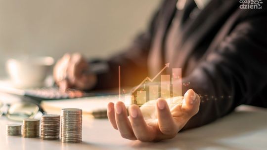 Czynności doradztwa podatkowego a usługi księgowe – czym się różnią?