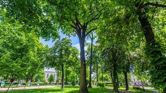 
Czyste powietrze - spotkanie informacyjne z mieszkańcami