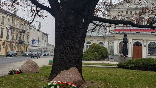 Dąb Wolności ma 100 lat