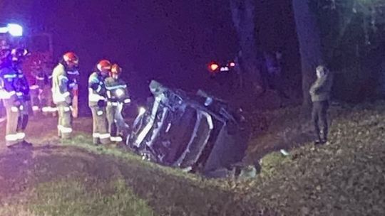 Dachowanie w Klwatce Królewskiej