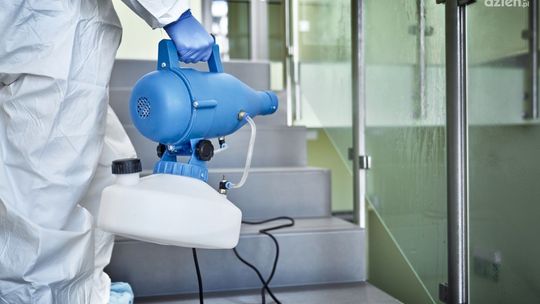 Dezynsekcja - co to jest i na czym polega