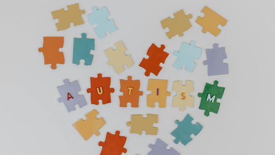 Diagnoza spektrum autyzmu u dorosłych - poradnik dla osób w spektrum i ich bliskich Diagnoza spektrum autyzmu u dorosłych - poradnik dla osób w spektrum i ich bliskich