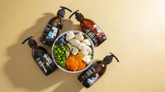 Dieta dla psa i kota – czy oleje mogą poprawić ich zdrowie? Dieta dla psa i kota – czy oleje mogą poprawić ich zdrowie?