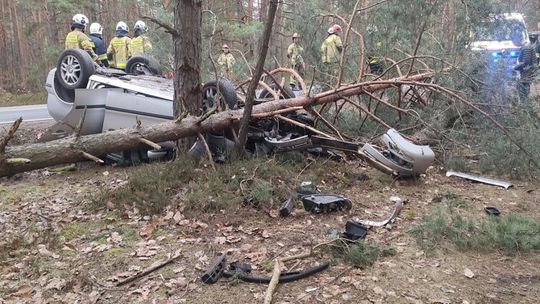 DK48. Dachowanie w gminie Wyśmierzyce