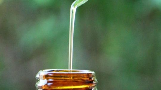 Dlaczego warto suplementować olejek z oregano i jak robić to dobrze?