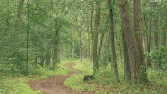 Do sanatorium z ZUS: za darmo i bez kolejek