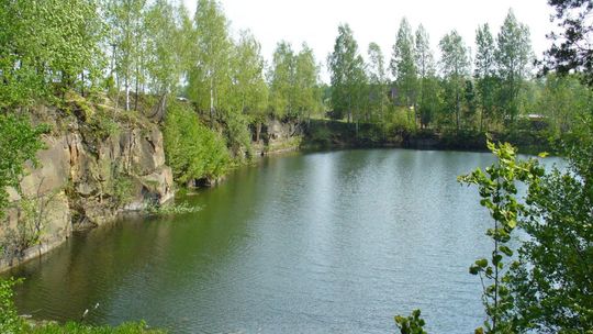 Do Szydłowca zjechali malarze z całej Polski