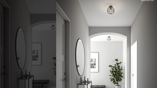 Dobór oświetlenia do przedpokoju?