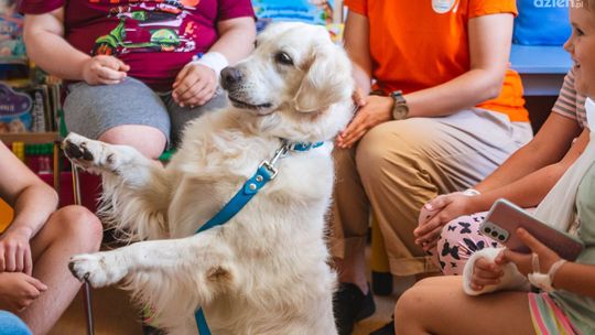 Dogoterapia na Józefowie