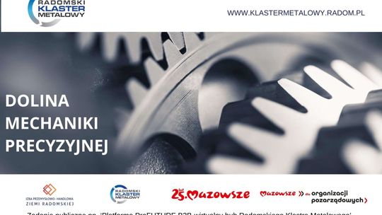 Dolina mechaniki precyzyjnej