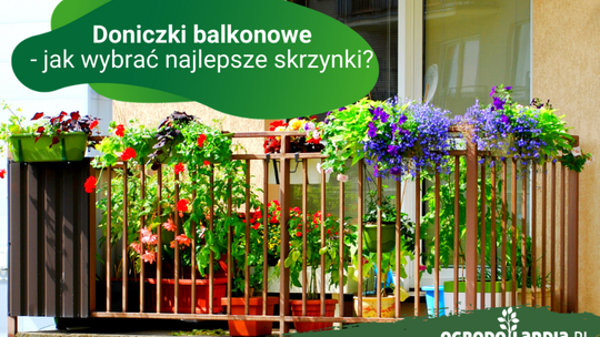 Doniczki balkonowe - jak wybrać najlepsze skrzynki?